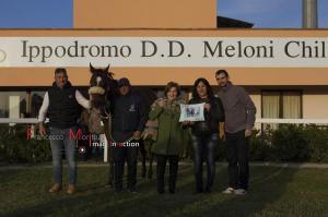 Galoppo_Chilivani_2017_ (40)